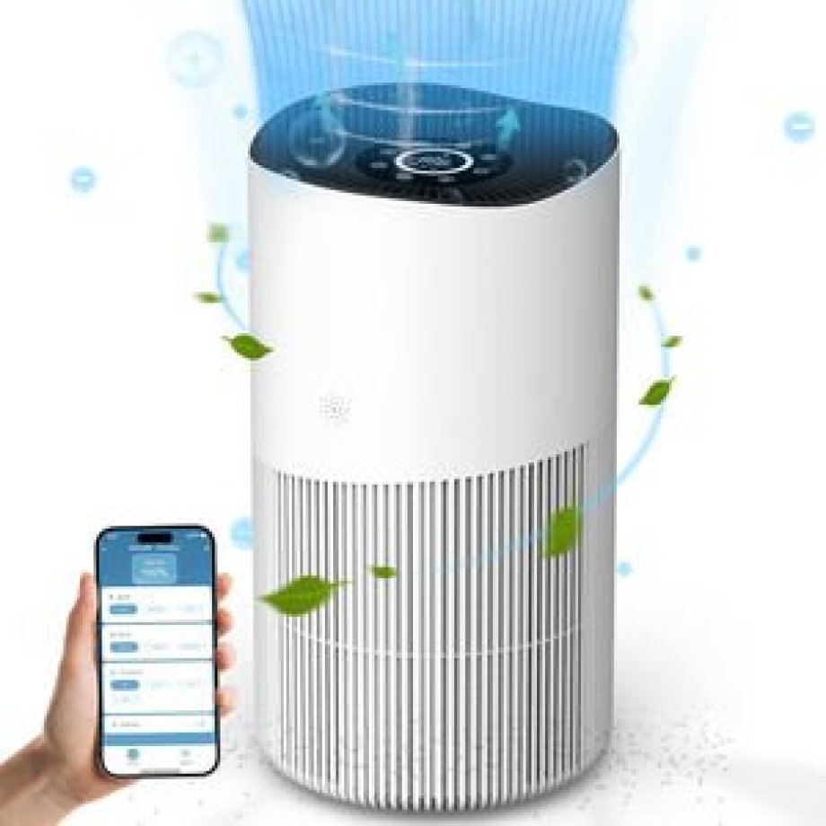 Air Purifier for Home Large Room Personal for Smoking